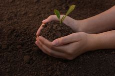 Yuk, Mulai Berkebun untuk Atasi Bosan Selama Karantina 