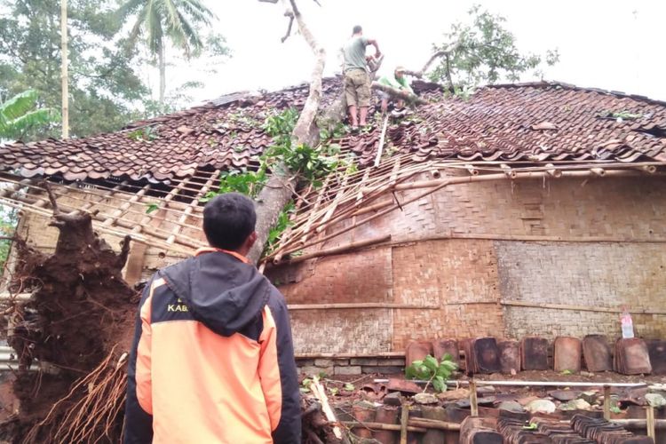 Petugas BPBD menggergaji pohon tumbang menimpa rumah terdampak bencana angin puting beliung di Desa Cimanggu, Cikembar, Sukabumi, Jawa Barat, Sabtu (22/9/2018). 