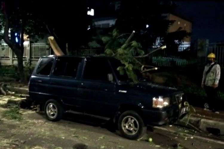 Angin kencang membuat satu pohon di Jalan Kayu Putih Raya, Kelurahan Kayu Putih, Kecamatan Pulogadung, Jakarta Timur, tumbang pada Selasa (22/11/2021) malam.