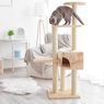 10 Tips Dekorasi Rumah yang Ramah untuk Kucing Peliharaan