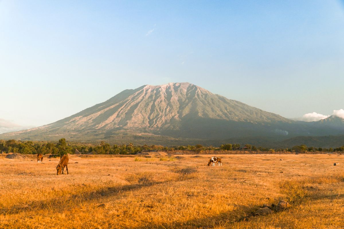 Savana Tianyar di Karangasem, Bali