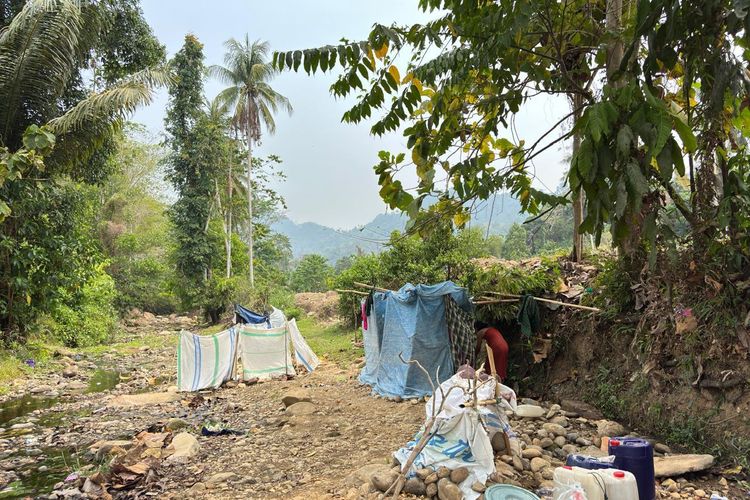 Enam Bulan Tak Hujan, Warga Pammulakang Mamuju Gali Sungai Kering demi Air Bersih
