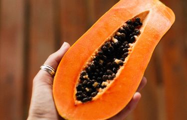 Cara Menanam Pepaya dari Biji agar Cepat Tumbuh Halaman all ...