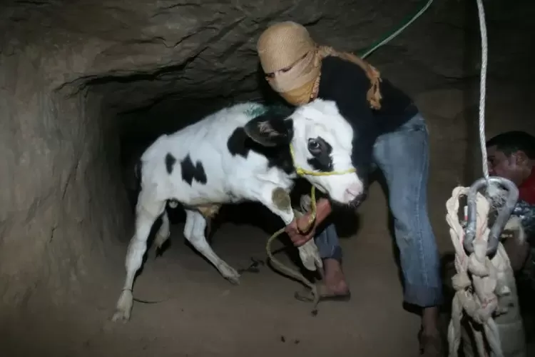 Terowongan bawah tanah di wilayah Rafah vital untuk lalu lintas kebutuhan warga sipil di Gaza, seperti yang terpotret pada November 2008 ini.