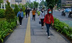 Ruang Terbuka Hijau Jakarta Hanya 5,18 Persen, Ini Solusi dari SBI