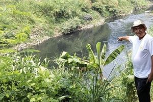 Sungai Cileungsi Kembali Menghitam, Pemkab Bogor Tutup Saluran Limbah Ilegal