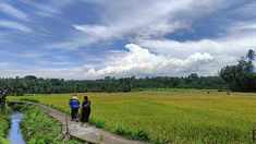 Bali Resmi Berlakukan Perda Larangan Alih Fungsi Lahan Produktif dan Kepemilikan Nominee