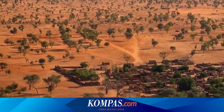Les scientifiques estiment que le désert du Sahara se transforme en forêt verte tous les 21 000 ans.