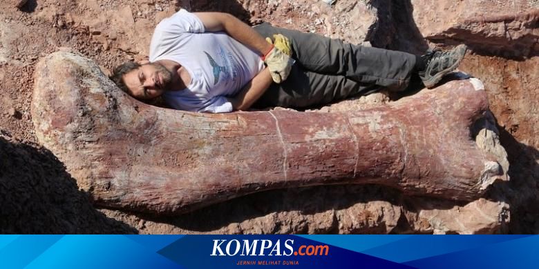 Makhluk Terbesar di Bumi Ditemukan, Tingginya Setara Gedung 7 Lantai