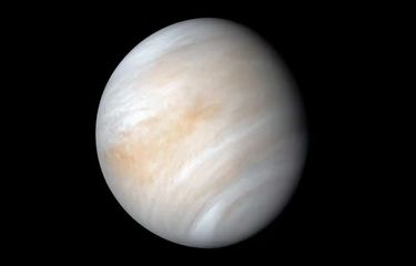 Ilustrasi planet Venus.
