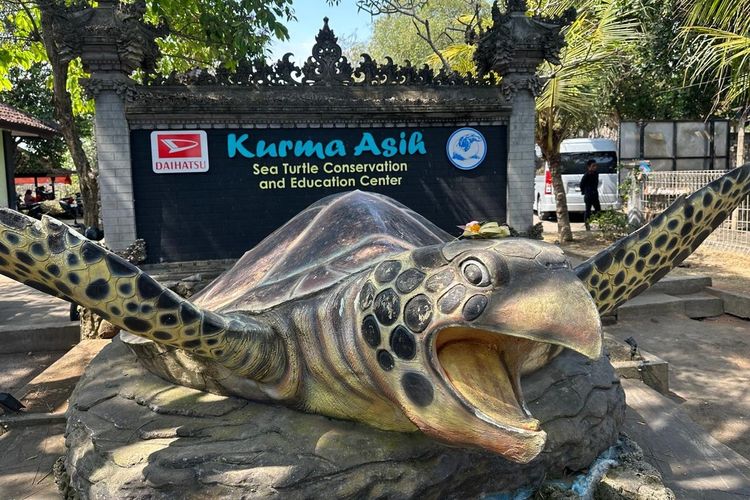Lebih dari 10 Tahun, Daihatsu Dukung Konservasi Penyu di Bali