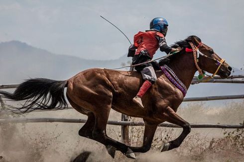 Joki Cilik Tewas Saat Pacuan Kuda, Eksploitasi Anak Atas Nama Tradisi di NTB