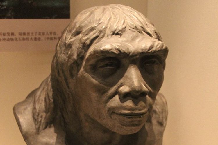 Patung Manusia Peking atau Sinanthropus pekinensis di Museum Nasional China.
