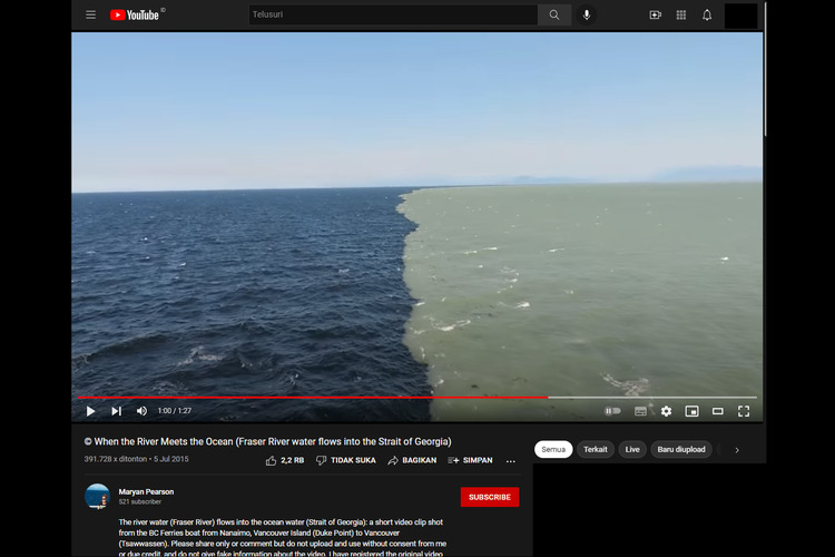 Tangkapan layar video di kanal YouTube Maryan Pearson pada 5 Juli 2015, menampilkan pertemuan air sungai Fraser dengan air laut Selat Georgia, Samudra Pasifik, di dekat Pulau Vancaouver, Kanada.