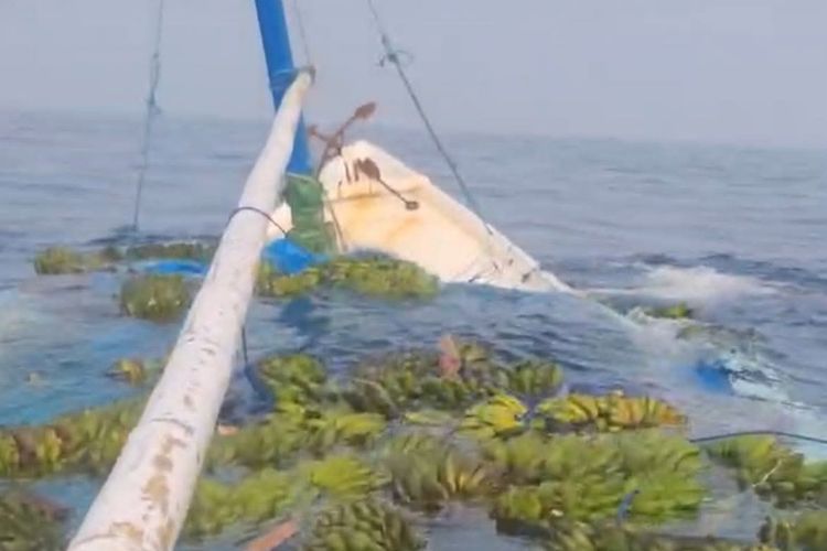 Kapal Muat 10.000 Tandan Pisang dari Mamuju Karam saat Berlayar ke Balikpapan, Sempat Hilang Kontak 29 Jam