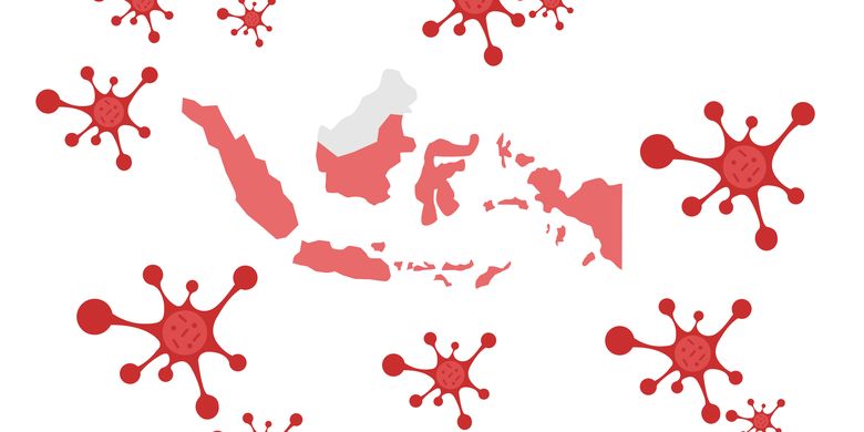 17 Provinsi Di Indonesia Konfirmasi Covid 19 Ini Rincian Kasusnya