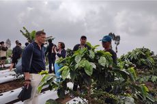 Lepas Penat dengan Live In di Ngaduman, Permukiman Tertinggi di Gunung Merbabu