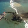 Bencana Minyak Tumpah Mauritius, Hewan Laut Mulai Mati