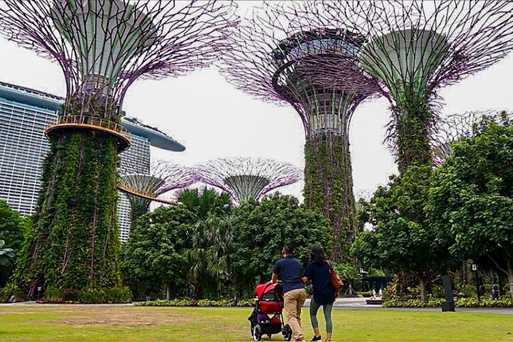 Wisatawan berjalan-jalan di Gardens by the Bay Singapura.