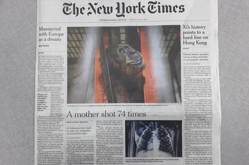 Hope, Induk Orangutan yang Diberondong 74 Peluru, di Sampul Depan The New York Times