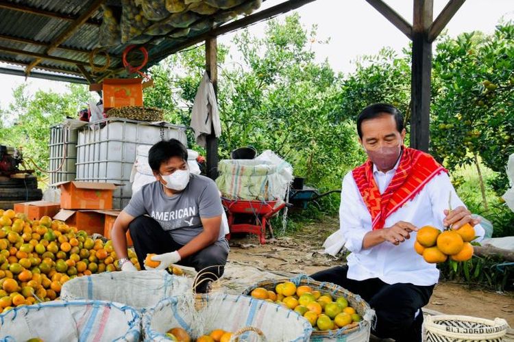 Presiden Joko Widodo berkunjung ke kampung eruk Liang Melas Datas, Kabupaten Karo, Sumatera Utara, Jumat (4/2/2022). 