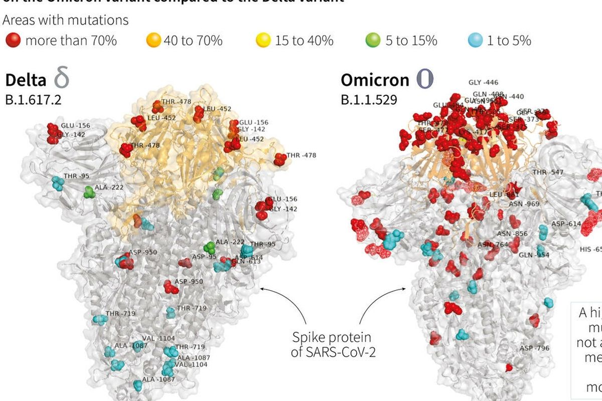 Gambar tiga dimensi pertama dari Covid-19 varian Omicron menunjukkan lebih banyak mutasi daripada varian Delta. Gambar yang tampak seperti peta ini diproduksi dan diterbitkan oleh rumah sakit Bambino Gesu yang terkenal di Roma, Italia, Minggu (28/11/2021).