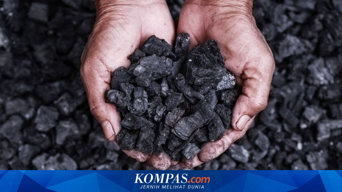Ekspor Batu Bara AS ke Indonesia Melonjak 158 Persen