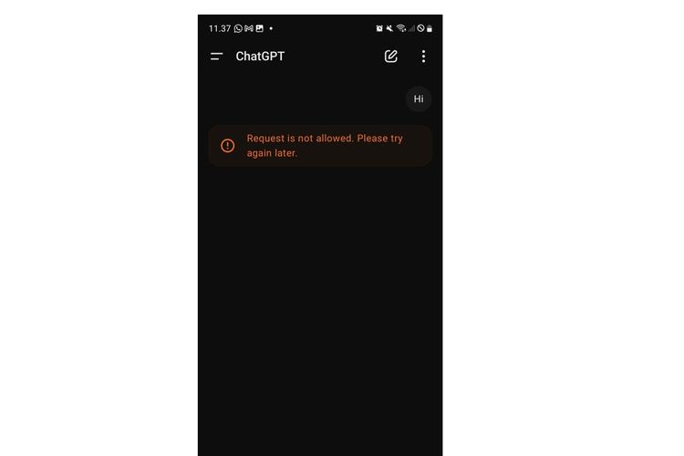 Tampilan ChatGPT error versi mobile, Kamis (6/2/2025).