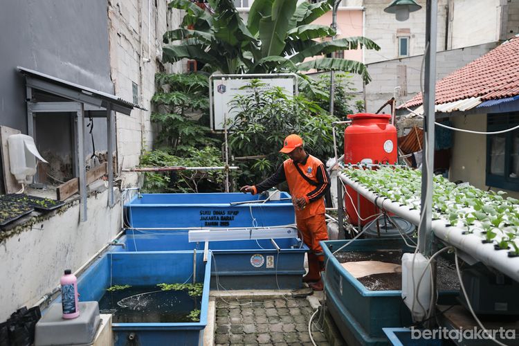 Dari Kerja Sama Antardaerah hingga Urban Farming, Cara Jakarta Jaga Ketahanan Pangan