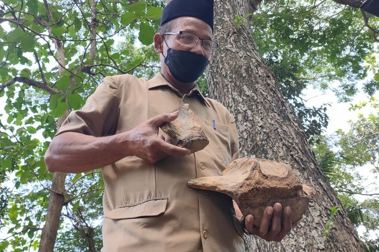 Guru olahraga di SMP Negeri 1 Panjatan, Kabupaten Kulon Progo, Daerah Istimewa Yogyakarta, menemukan batu yang diduga tukang purba. Ia menjadikan temuan itu sebagai kenangan-kenangan.