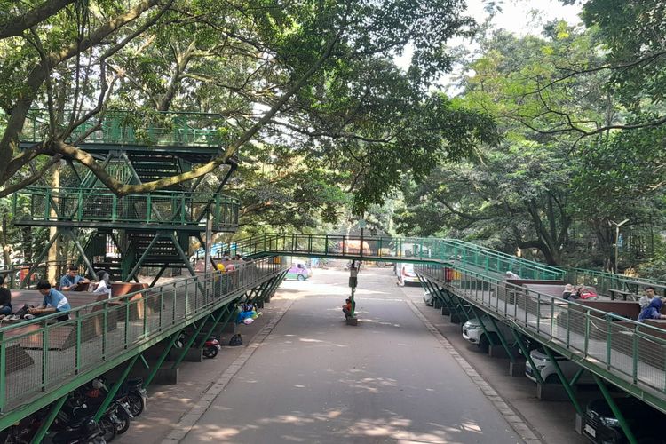 Suasana pagi hari di Hutan Kota Babakan Siliwangi