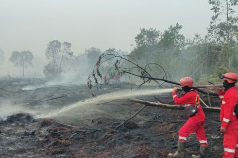 Padamkan Karhutla di Bengkalis Riau, Petugas Harus Terobos Hutan Menuju Lokasi Kebakaran