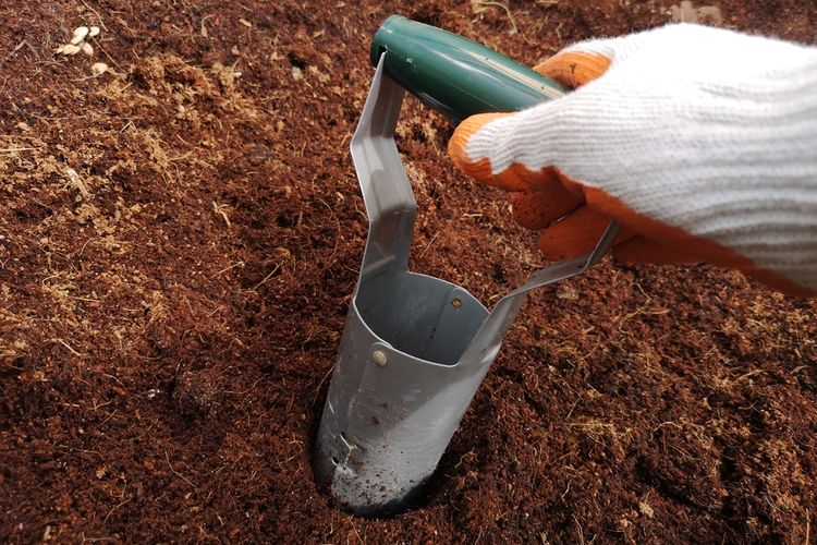 Media tanam cocopeat