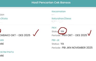 Cek Bansos Januari 2026: Cara Cek Penerima PKH, BPNT, dan Bansos Beras