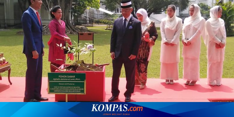 Jokowi Sambut Raja Malaysia Di Istana Bogor