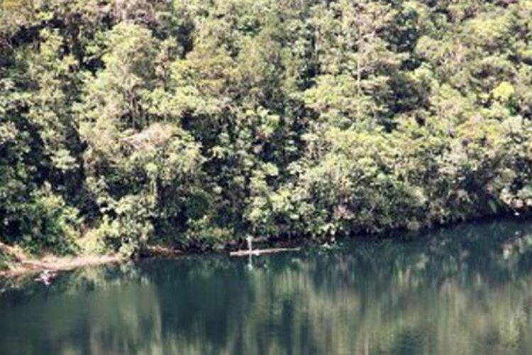 Keheningan dan kebeningan Danau Ranamese di Manggarai Timur, Flores, NTT, Kamis (9/5/2013). Danau seluas 5 ha itu termasuk salah satu andalan Taman Wisata Alam Ruteng, sekaligus sumber lauk ikan bagi masyarakat sekitar.
