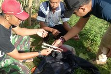 Tulang Manusia di Dalam Baju Selam di Wakatobi Diduga Milik Awak Kapal Filipina