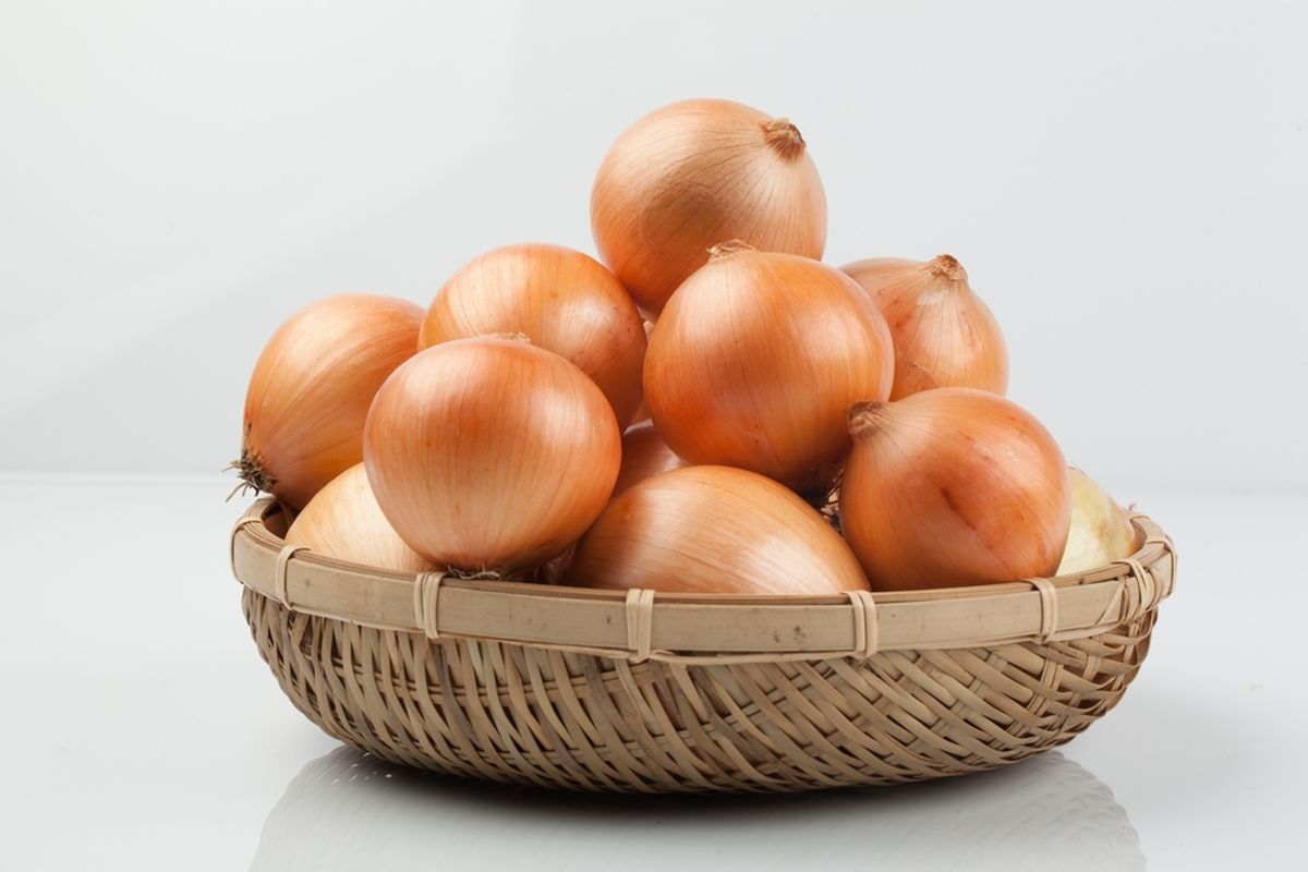 Ilustrasi bawang bombai.