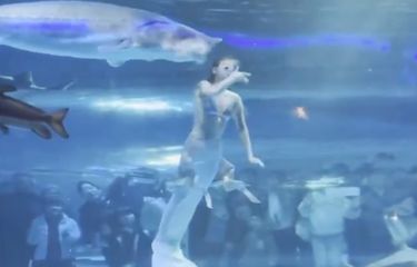 Tangkapan layar detik-detik ikan menggigit Masha, petugas yang sedang berenang di dalam akuarium saat menghibur pengunjung