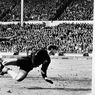 68 Hari Jelang Piala Dunia 2022: Geoff Hurst, Hattrick Brilian dan Kontroversi Garis Gawang 