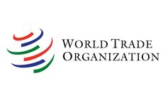 Kemenangan Indonesia di WTO, Ekonom: Harusnya Tidak Ada Perdebatan Sawit Lagi