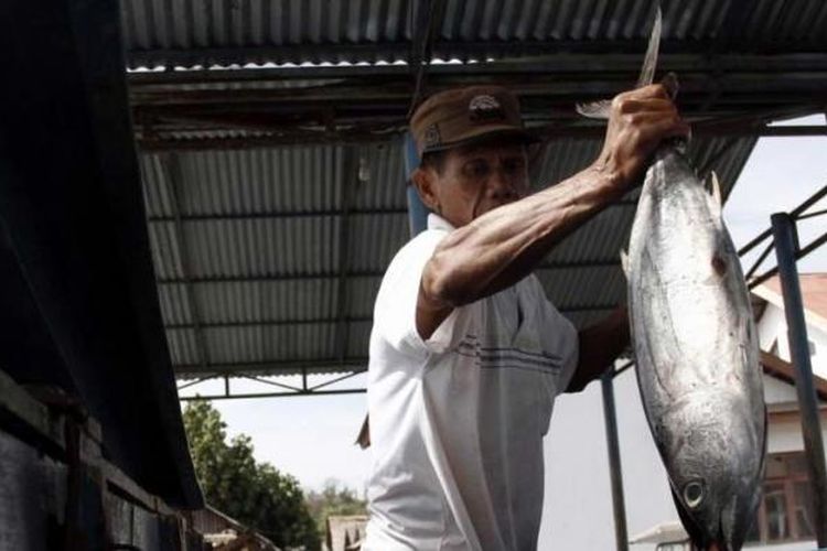 Aziz, pengusaha ikan asap atau yang dikenal dengan cakalang fufu sedang memasukkan ikan cakalang segar ke dalam wadah penampung di Belang, Minahasa Tenggara, 7 Oktober 2015.