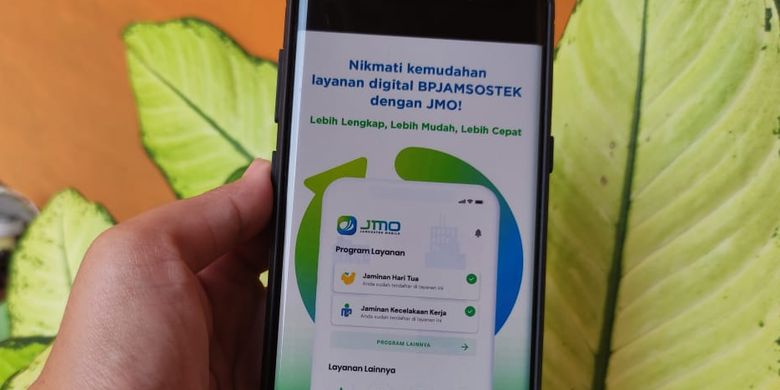 Apa Itu Data Npwp Dan Paspor Di Jmo