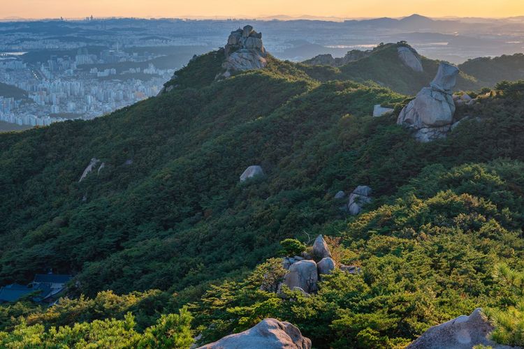 Fenomena Gunung Gundul di Korea Viral, Tarik Gen Z dan Turis Asing