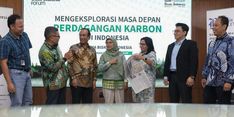 Manfaat Perdagangan Karbon untuk Lingkungan dan Industri