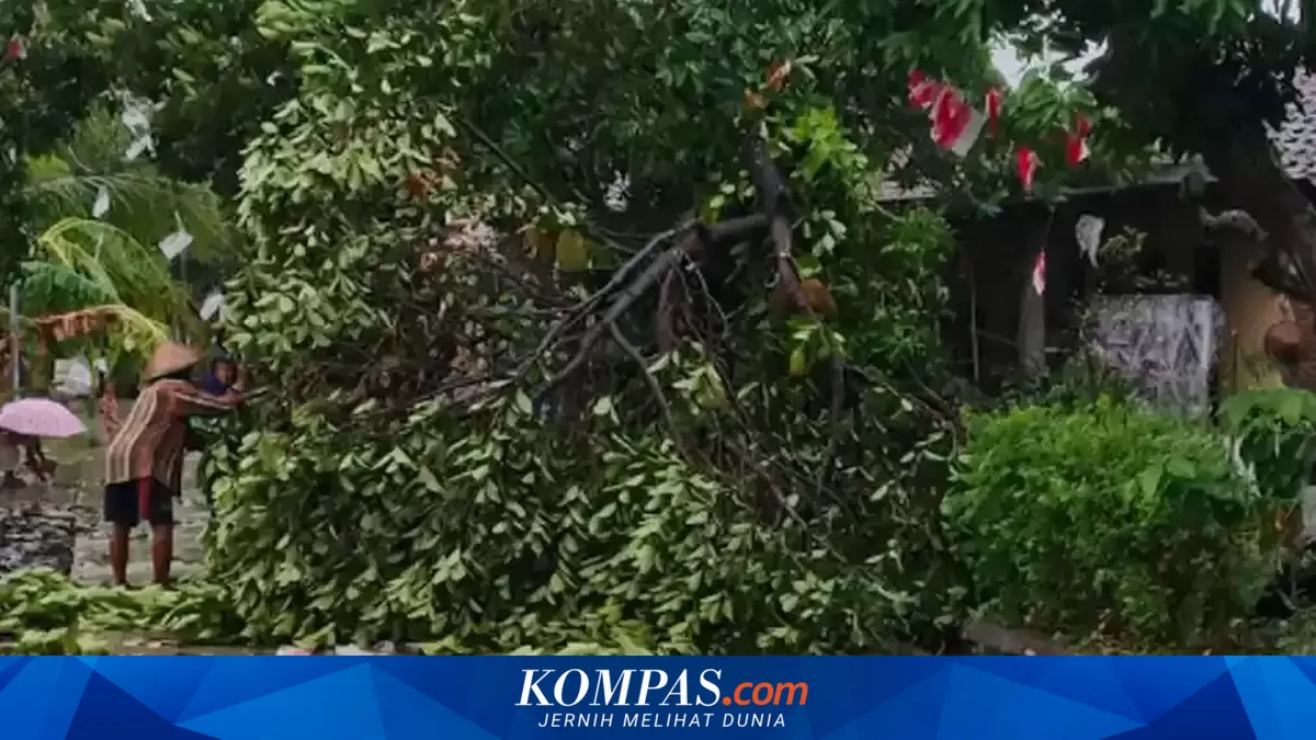 Puting Beliung Terjang 2 Kecamatan di Jombang, Atap Rumah Rusak hingga Kandang Sapi Ambruk