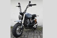 Modifikasi Motor Kontet, Honda Tiger Mini Scrambler 