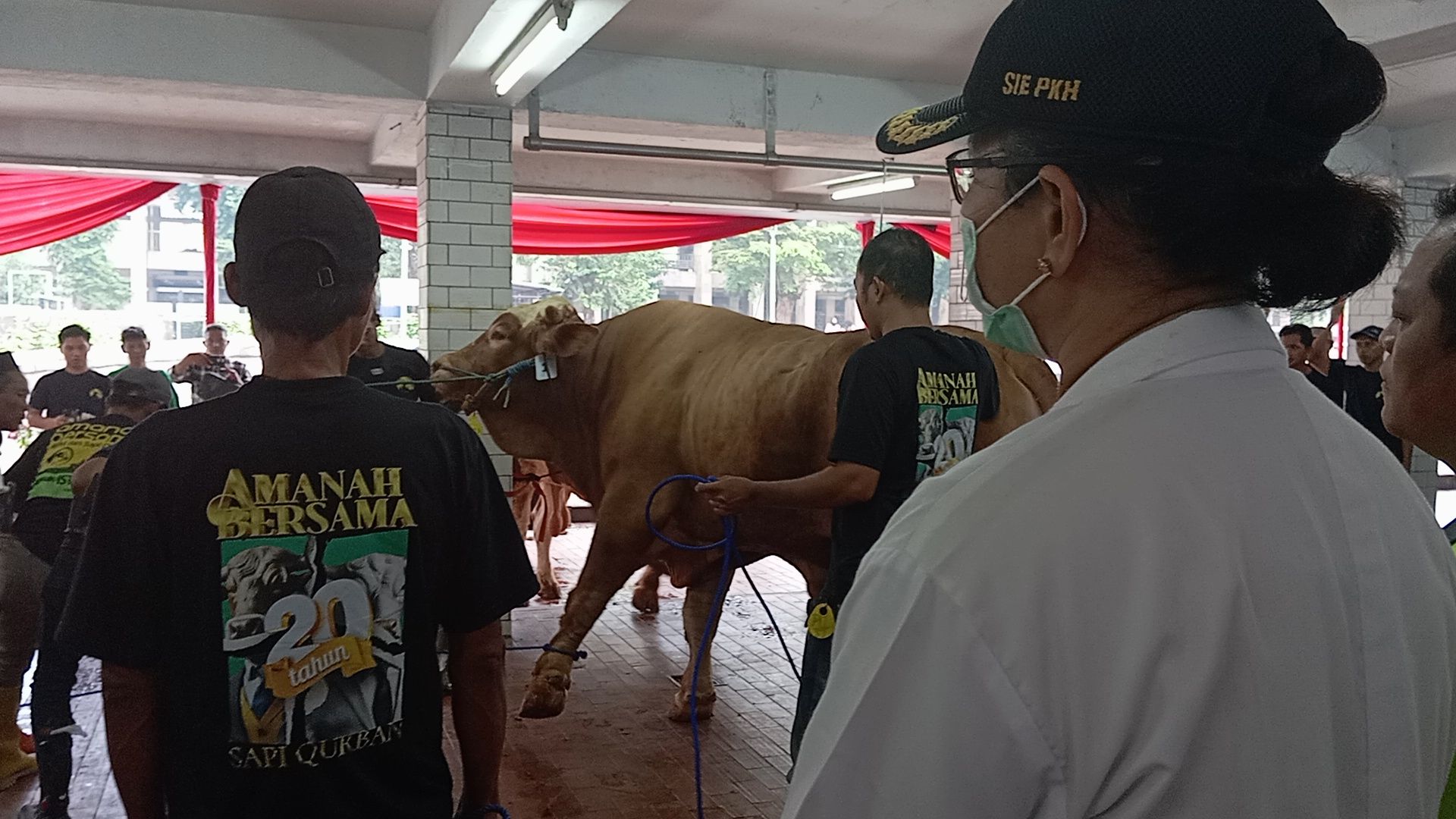 Cerita Warga Slipi Datang ke Masjid Istiqlal untuk Lihat Sapi 