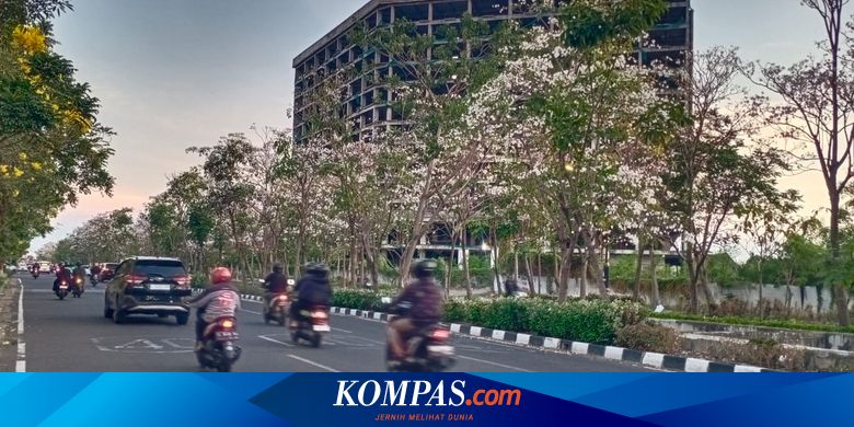 Surabaya Jadi Vibes Jepang Jepang Saat Bunga Tabebuya Mekar, Ini Lokasi-lokasinya