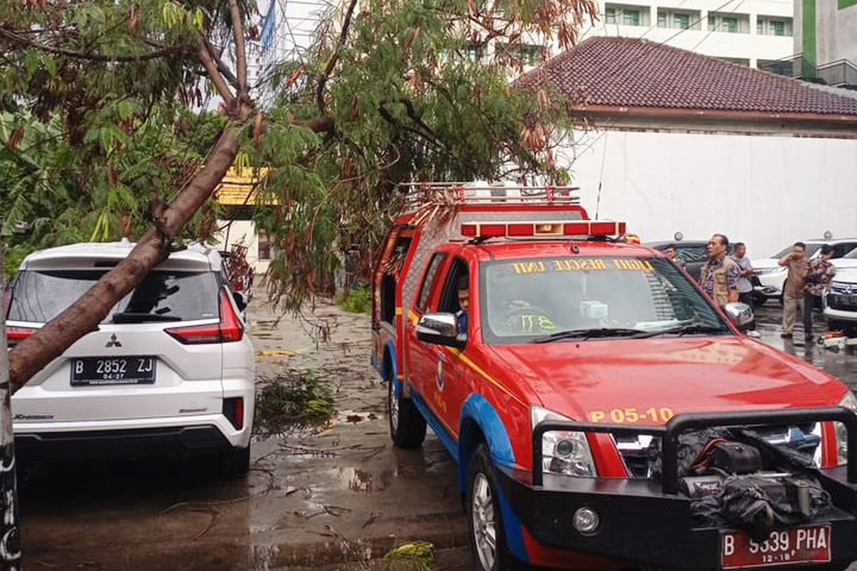 Pulang Kampung, Ingat Jangan Parkir Mobil di Bawah Pohon